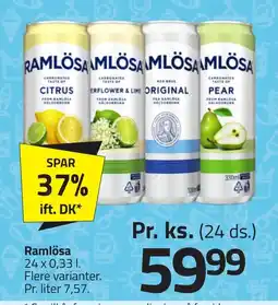 Fleggaard Ramlösa erbjuda