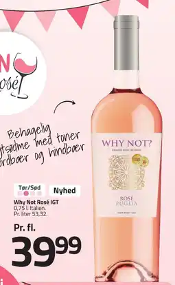 Fleggaard WHY NOT Rosé IGT erbjuda