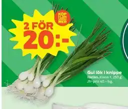 Stora Coop Gul lök i knippe erbjuda