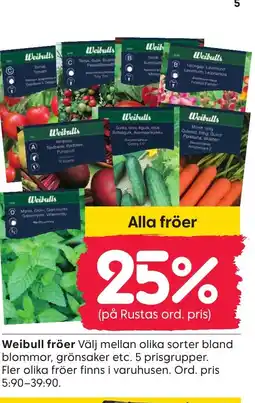 Rusta Weibull fröer erbjuda