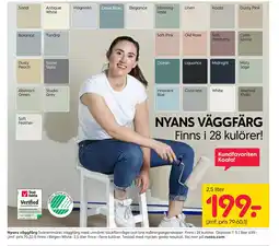 Rusta Nyans väggfärg erbjuda