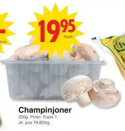 Matöppet Champinjoner erbjuda