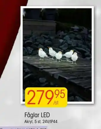 EKO Fåglar LED erbjuda
