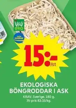ICA Maxi Ekologiska böngroddar i ask erbjuda