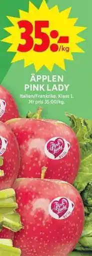 ICA Maxi PINK LADY Äpplen erbjuda