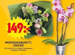 ICA Maxi Morsdagsbukett, orkidé erbjuda