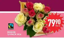Willys Rosor 12-pack mix erbjuda