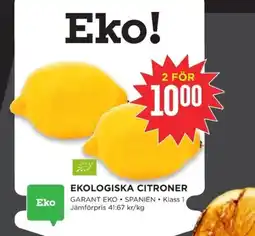 Willys Ekologiska citroner erbjuda