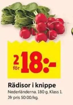 ICA Kvantum Rädisor i knippe erbjuda