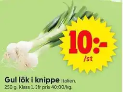 ICA Supermarket Gul lök i knippe erbjuda