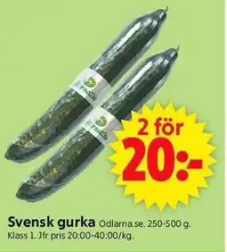 ICA Supermarket Svensk gurka erbjuda