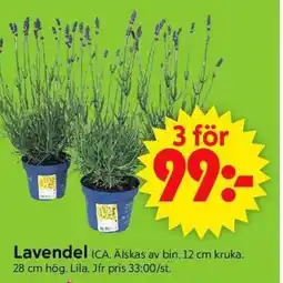 ICA Supermarket ICA Lavendel erbjuda