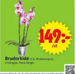 ICA Supermarket ICA Brudorkidé erbjuda