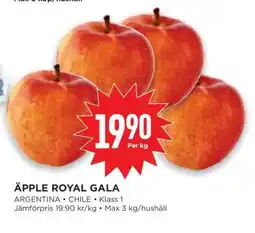 Willys Äpple Royal Gala erbjuda