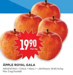 Willys Äpple Royal Gala erbjuda