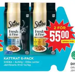 Willys KATTMAT 6-PACK erbjuda
