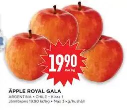 Willys Hemma ÄPPLE ROYAL GALA erbjuda