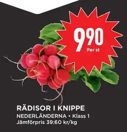 Willys Hemma RÄDISOR I KNIPPE erbjuda