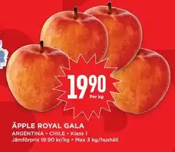 Willys Hemma ÄPPLE ROYAL GALA erbjuda
