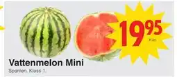 Matöppet Vattenmelon Mini erbjuda