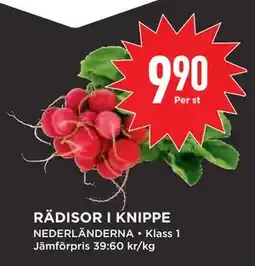 Willys Hemma RÄDISOR I KNIPPE erbjuda