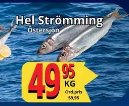 Supergrossen Hel Strömming erbjuda