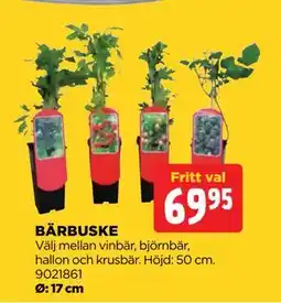 Jem&Fix BÄRBUSKE erbjuda