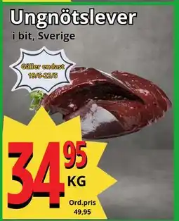 Supergrossen Ungnötslever erbjuda
