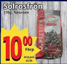 Supergrossen Solrosfrön erbjuda