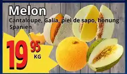Supergrossen Melon erbjuda