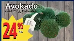 Supergrossen Avokado erbjuda