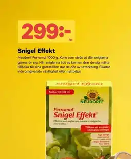 City Gross NEUDORFF Snigel effekt erbjuda