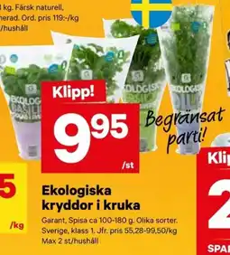 City Gross GARANT Ekologiska kryddor i kruka erbjuda