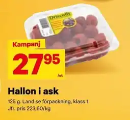 City Gross Hallon i ask erbjuda