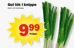 Pekås Gul lök i knippe erbjuda