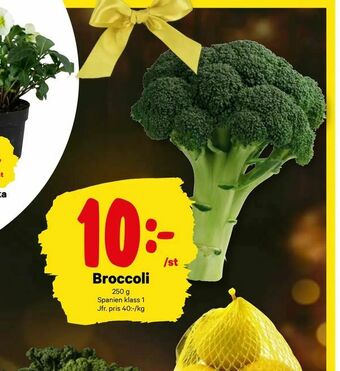 City Gross Broccoli erbjuda