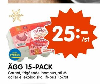 Tempo Ägg 15-pack erbjuda