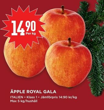 Willys Äpple royal gala erbjuda
