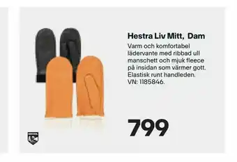 XXL Hestra Liv Mitt, Dam erbjuda