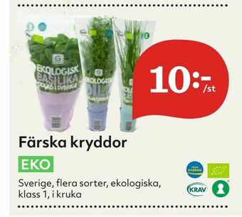 Hemköp Färska kryddor erbjuda