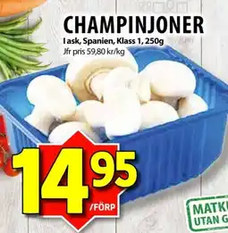 Matvärlden Tensta Champinjoner erbjuda