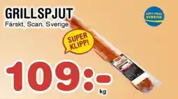 SCAN Grillspjut