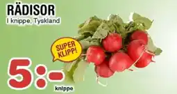 Nya Pulsen Rädisor erbjuda