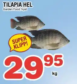Nya Pulsen Tilapia hel erbjuda
