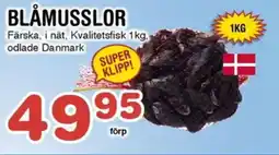 Nya Pulsen Blåmusslor erbjuda