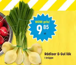 Eurocash Rädisor & gul lök erbjuda
