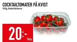 Cocktailtomater på kvist