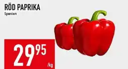 Röd paprika