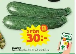Zucchini