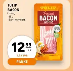 Scandinavian Park TULIP Bacon erbjuda